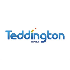 logo_teddington